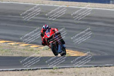 media/Apr-14-2024-SoCal Trackdays (Sun) [[70f97d3d4f]]/5-Bowl Exit (1020am)/